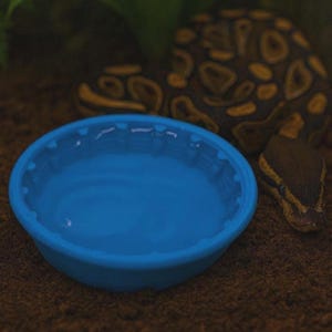 Bebedero para reptiles: plato impreso en 3D para geckos y dragones barbudos