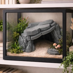 Op de afbeelding: Een zwart omrand terrarium met een grijze rotsformatie, zand en groen. Het terrarium heeft een grotachtige structuur, kleine paddenstoelen en diverse planten. De binnenkant is verlicht en creëert een miniatuurlandschap.
