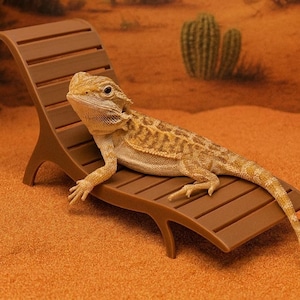 Reptile Lounge Chair: Bearded Dragon, Snake, Gecko Hammock