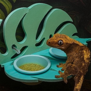 Leaf Monstera Reptile Feeding Ledge: Enrichment Decor for Geckos