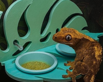 Leaf Monstera Reptile Feeding Ledge: Enrichment Decor for Geckos
