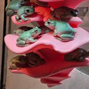 Peut inclure: Une pile de champignons en céramique rose avec des grenouilles arboricoles vertes perchées sur le dessus. Les grenouilles sont assises sur les champignons, certaines grimpent sur les côtés et d'autres regardent le spectateur.