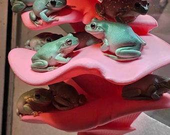 Op de afbeelding: Een stapel roze keramische paddenstoelen met groene boomkikkers die erop zitten. De kikkers zitten op de paddenstoelen, sommige klimmen aan de zijkanten omhoog en sommige kijken naar de kijker.