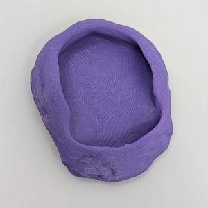 Reptile Feeding Bowl: Mealworm Dish for Enrichment-Decor Arachnid, Snakes, Reptile, Jumping-Spider, Amphibian, Geckos, Beardies