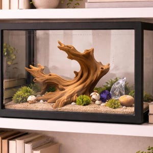 Puede incluir: Un terrario rectangular con marco negro y una gran pieza central de madera flotante texturizada. El terrario contiene arena, pequeñas plantas verdes, rocas y piedras decorativas.