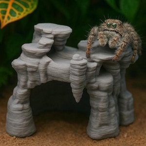 Op de afbeelding: Een grijze, miniatuur rotsformatie met een kleine spin die erbovenop zit. De spin heeft bruine en bruine kleuren met groene ogen. De rotsformatie heeft een textuur, gelaagd ontwerp, dat lijkt op een kleine grot of schuilplaats.