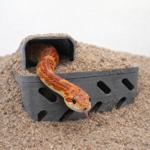 May include: A corn snake with orange and brown markings emerges from a gray, rectangular hideaway. The snake's tongue is extended. The hideaway is surrounded by sand, creating a naturalistic habitat. The image is well-lit and focuses on the snake.