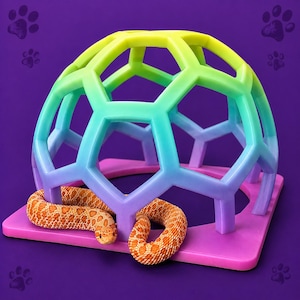 Rainbow Glow-in-Dark Snake Climber: Enrichment-Decor Arachnid, Snakes, Reptile, Jumping-Spider, Amphibian, Geckos, Beardies