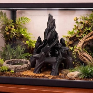 Könnte beinhalten: Ein schwarzes, dekoratives Element im Treibholzstil ist der Mittelpunkt eines Terrariums. Das Terrarium enthält außerdem eine kleine Wasserschale, lebende Pflanzen und ein natürliches Substrat. Das Glasgehäuse steht auf einer Holzoberfläche.
