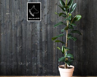 D-SH designs Poster
