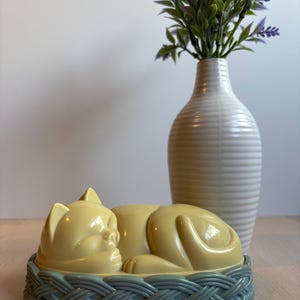 Vintage  Avon Lucite Sleeping Kitty Cat in Basket Lint Brush Figurine - Eclectic Kitschy Kitten