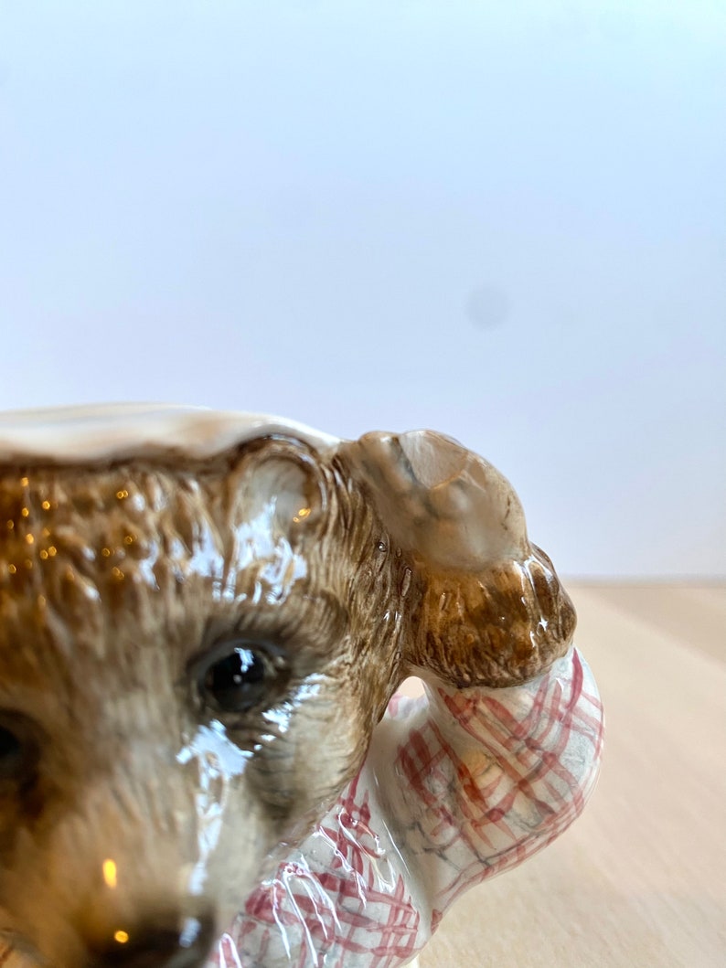 May include: Close-up of a ceramic bear figurine wearing a red and white checked shirt. The bear has brown fur and a white muzzle. The figurine is glazed and has a shiny finish.
