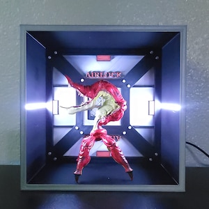 Display Case for Figures