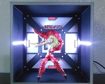 Display Case for Figures