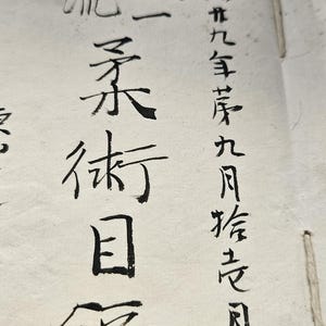 Digital Download - Meiji Period Jujutsu Practitioner Notes - Authentic Japanese (1876)