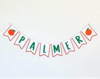 May include: A white banner with the name "PALMER" in green letters and orange fruit illustrations on each end.