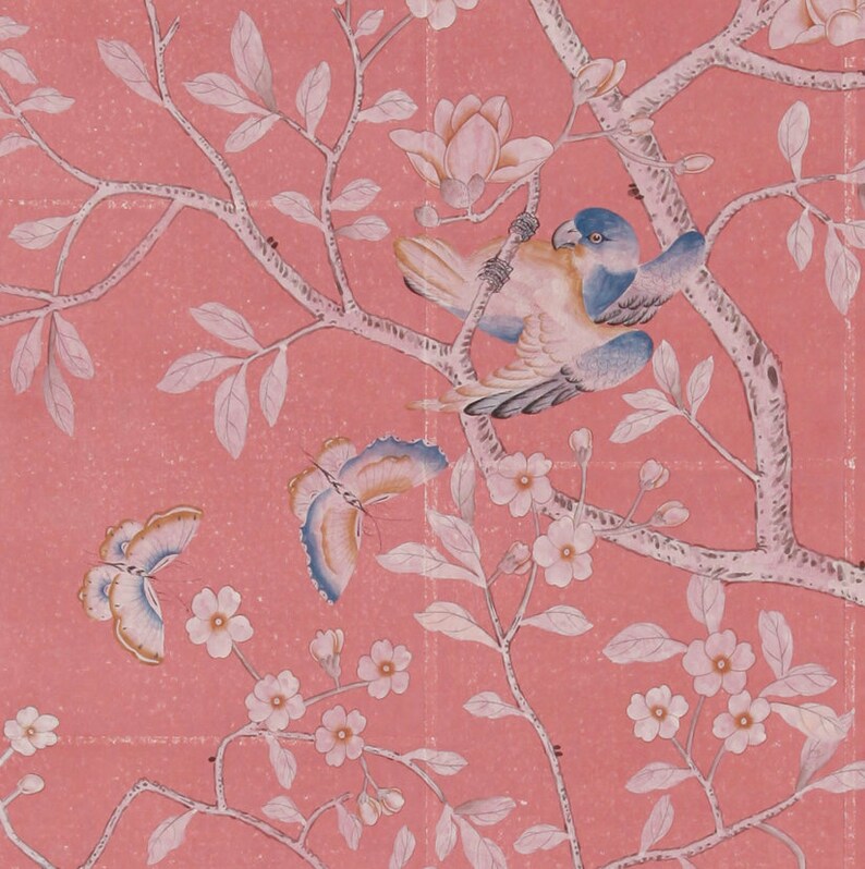 May include: A pink background with a white tree branch with white flowers and a blue and yellow bird perched on the branch. There are also two white butterflies on the branch.