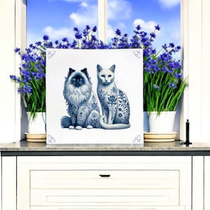 Op de afbeelding: Twee witte katten met blauwe en witte patronen op hun vacht, zittend naast elkaar op een witte achtergrond. De katten kijken naar voren en hebben hun staarten om hun lichaam gekruld.