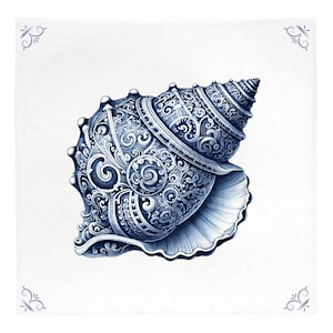 Op de afbeelding: Een blauwe en witte schelp met ingewikkelde details en een draaiend patroon. De schelp is getekend in een gedetailleerde, realistische stijl.