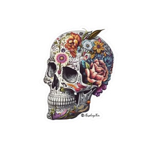 Beautiful Craniums | Highly Detailed Skull Sticker | Ornate Skulls | Vinyl Stickers for Laptops | Unique and Sophisticated | Skull Art