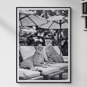 Gepard am Pool Schwarz-Weiß-Druck - Luxus-Gepard mit Rahmen, Fine Art-Fotografie, exotische Wildtier-Wandkunst, Tropisches Wohndekor
