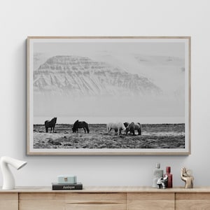 Fine Art Wild Horses Mountain Print - Black and White Animal Nature Framed Fine Art Photography Home Decor