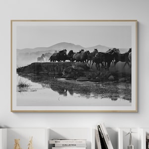 Fine Art Black and White Wild Horses Photography Print - Wild Horses Running Print - Home Decor