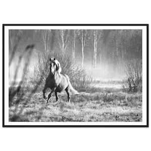 Fine Art Wild Horse Print - Wild Horse in Motion, Black and White Framed Fine Art Photography Home Decor