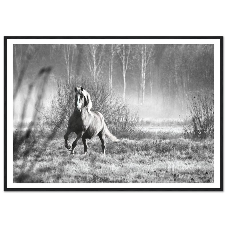 Fine Art Wild Horse Print - Wild Horse in Motion, Black and White ...