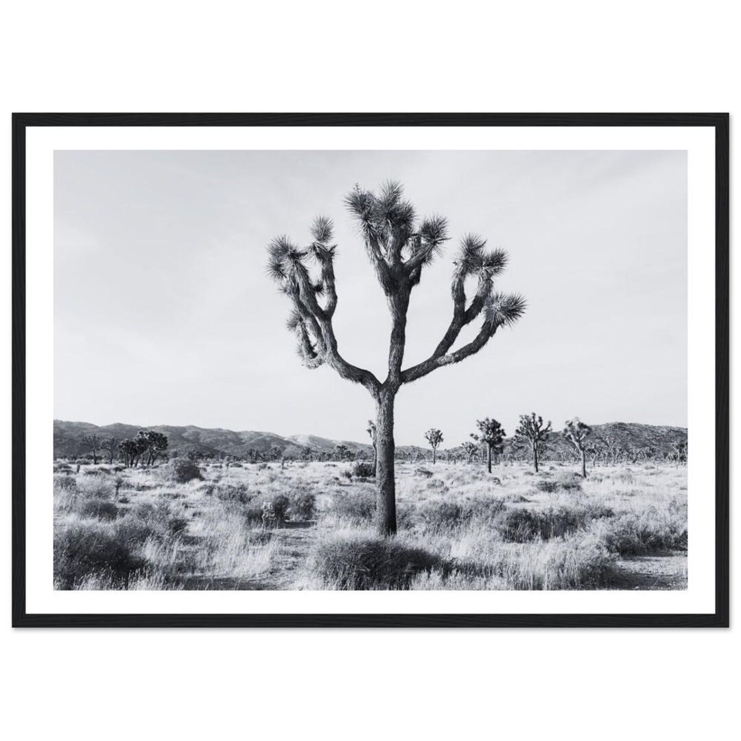 Black and White Joshua Tree Print - Desert Landscape Vintage Minimalist ...