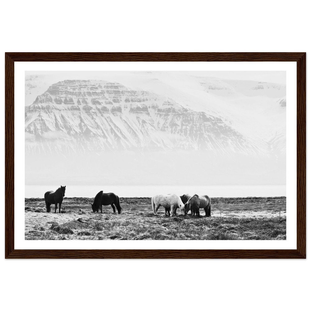 Wild Horses Mountain Print - Black and White Animal Nature Framed Fine ...