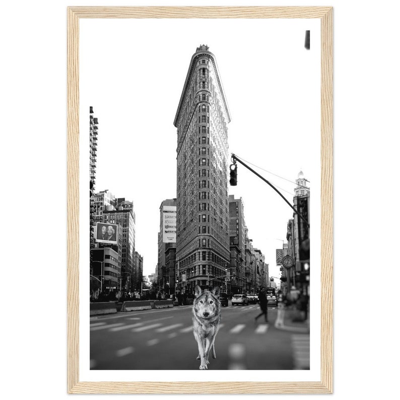 Fine Art Black and White New York Photography Print - Wolf in New York ...