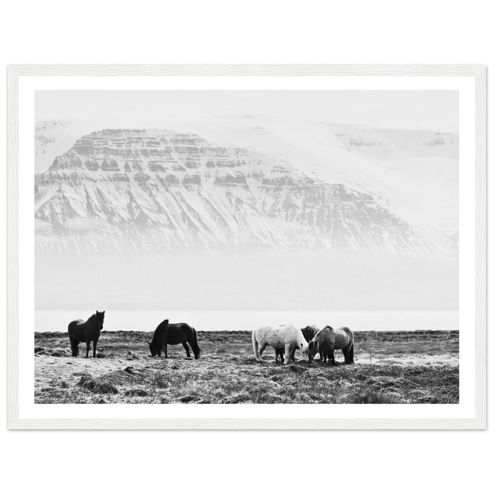 Wild Horses Mountain Print - Black and White Animal Nature Framed Fine ...
