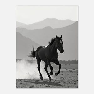 Fine Art Wild Horse Black and White Print - Framed Wild Horse Desert ...