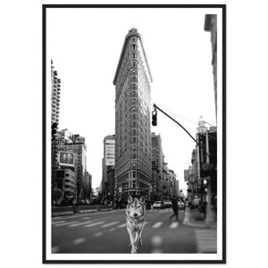 Fine Art Black and White New York Photography Print - Wolf in New York ...