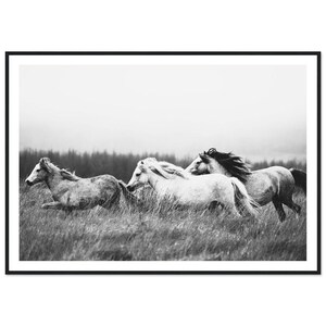 Sztuka piękna: dzikie konie, wydruk górski – czarno-białe zwierzę, natura, oprawiona fotografia artystyczna, wystrój domu
