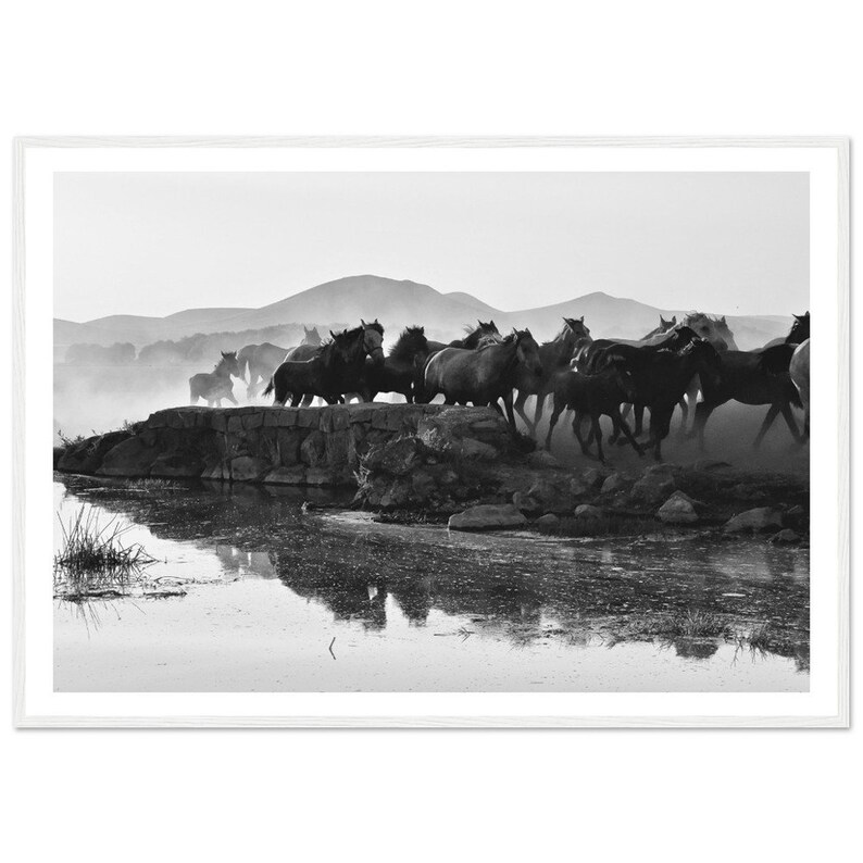Fine Art Black and White Wild Horses Photography Print - Wild Horses ...