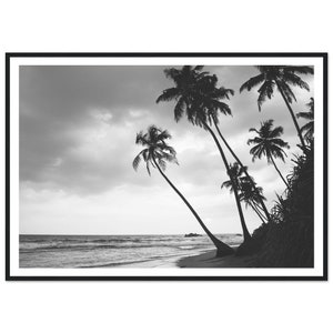 Impressão Fine Art Ocean Palms - Fotografia em preto e branco com palmeiras e oceano - Decoração de parede costeira