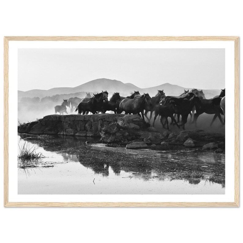 Fine Art Black and White Wild Horses Photography Print - Wild Horses ...