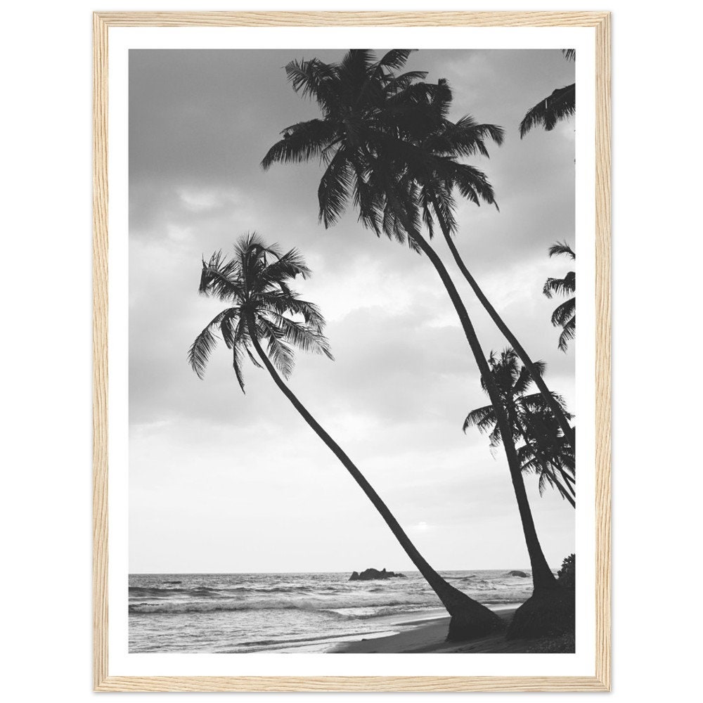 Black and White Palm Trees Beach Print - Framed Coastal Photography ...