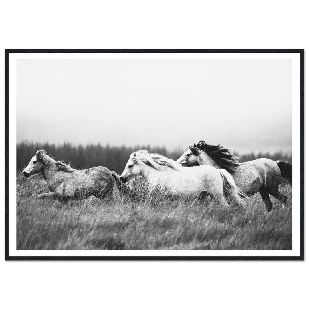 Fine Art Wild Horses Mountain Print Black and White Animal Nature ...