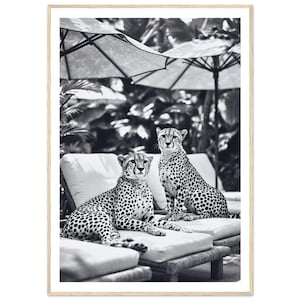 Cheetahs by Pool Black and White Fine Art Print – Framed Wildlife Wall Decor , Tropical Home Decor