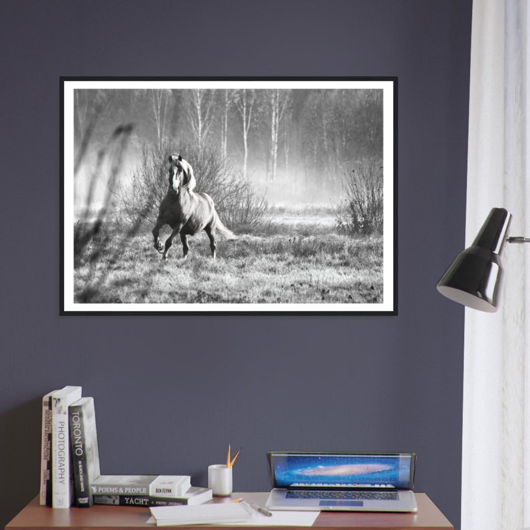 Fine Art Wild Horse Print Wild Horse in Motion, Black and White Framed ...