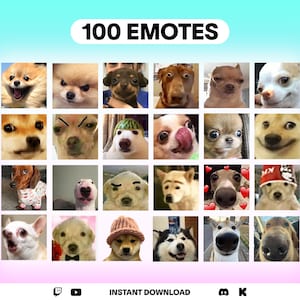 Peut inclure: Graphique numérique avec 20 visages de chiens aux expressions variées, présentés comme des émoticônes. Le texte "100 Emotes" est en haut. Le fond est un dégradé de bleu, rose et violet.