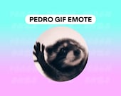 Pedro Raccoon Meme Animated GIF Emote: Twitch, Discord, YouTube (Digital Download)