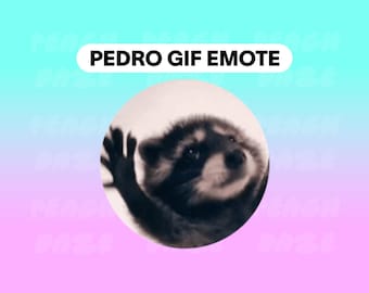 Pedro Meme Emote Animated Gif TikTok Raccoon | Twitch Emote | Meme Emote | Stream Emote | Kick | Discord | Youtube | gif emote emoji