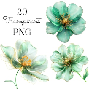Pakiet abstrakcyjnych kwiatów Clipart/20 wysokiej jakości przezroczystych PNG/Elegancka zielona złota grafika akwarelowa dla małych firm POD/Pobieranie cyfrowe