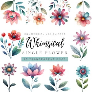Pacote de clipart de flores únicas e peculiares/25 aquarelas PNG de alta resolução/Flor abstrata/Flor PNG/Jardim de flores/Fundo transparente