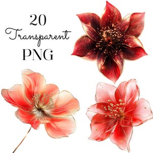 Pakiet abstrakcyjnych kwiatów Clipart/20 wysokiej jakości przezroczystych PNG/Eleganckie czerwone złote grafiki akwarelowe dla małych firm POD/Pobieranie cyfrowe