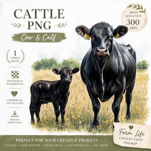 牛のPNG画像、母牛と子牛、肉牛のPNG画像、ブラックアンガス牛、デジタルダウンロード、牛のクリップアート、水彩画の牛のPNG画像、農場のクリップアート、子牛のクリップアート01